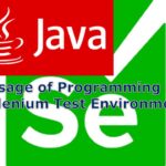 Usage of Programming in Selenium Test Environment